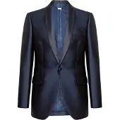 Billionaire Blazer Löwe