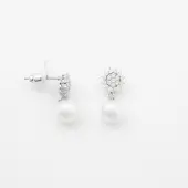 U.s. polo assn. US Polo Assn Jewellery Soleil Rhodium-Ohrringe