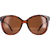 Montanaeyewear Cat Eye Womens Glänzend Schildpatt Braun Polarisiert MP74B