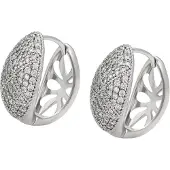 NAEMI Women Earrings in Silver | Gr.: onesize