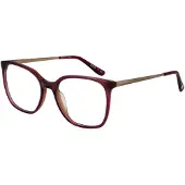 Superdry Brillenfassung SDO-2020 162 50