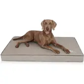 Knuffelwuff orthopädische Hundematte Palomino 1 St