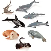 Miniland Figuren Von Meerestieren 8 Einheiten Mehrfarbig Mehrfarbig One Size