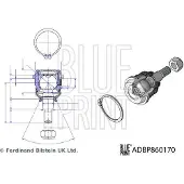 Blue Print Traggelenk Unten Vorne Links Vorne Rechts für HYUNDAI i20 Schrägheck (GB, IB) ADBP860170