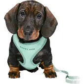 Trixie Junior Welpen-Softgeschirr mit Leine - mint - 26–34 cm/10 mm