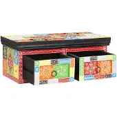 vidaXL TV-Schränk Mehrfarbig 60 x 30 x 24 cm Massivholz Mango