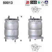 As Katalysator 50013
