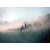 WALLARENA FOTOTAPETE Wald im Nebel Vliestapete Tapete 300x210
