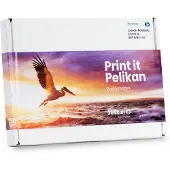 Pelikan Canon Pgi-550/cli-551xl Kompatible Tintenpatronen