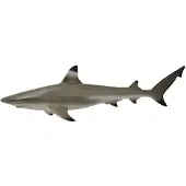 Collecta Hai Schwarz Korallenriff Spitzenfigur Silber 3-6 Years Silber 3-6 Years