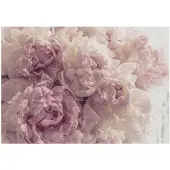 WALLARENA Fototapete Blumen in Rosa | Gr.: 400 x 280 cm