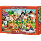 Castorland Puzzle Katzen - 1000 Teile - buntes Spielzeug