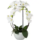 Creativ Green Kunstpflanze "Phalaenopsis"