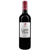 Generique Esprit de Pavie 2018