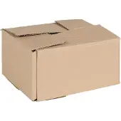 vidaXL Faltbox mit Speicher 50 pcs Natur 20 x 15 x 10 cm Karton