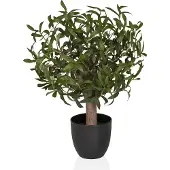 Hjh OFFICE Olive S