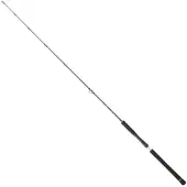 Daiwa Legalis Light Jiggingrute Silber 1.91 m / 120 g Silber 1.91 m
