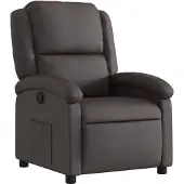 vidaXL Relaxsessel Dunkelbraun Echtleder