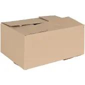 vidaXL Faltbox mit Speicher 50 pcs Natur 30 x 21,5 x 14 cm Karton