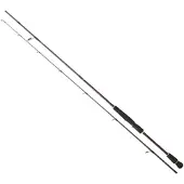 Daiwa Infeet Seabass Spinnrute