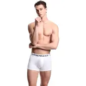 Emporio Armani Em000231_af14133 Boxershorts