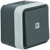 Berker 31763505, Tasten, Grau, Rot, 250 V, 10 A