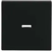 Busch-Jaeger BUSCH JAEGER Wippe schwarz matt 1789 N-885 2CKA001751A3154