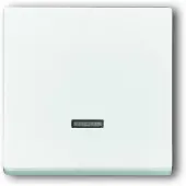 Busch-Jaeger 6543-84-101, Weiß, , 63 mm, 63 mm, 1 Stück(e)