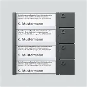 Siedle Tastenmodul BTM 650-04 DG dunkelgrau-glimmer 4fach
