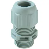 Wiska ESKV40PAK-Verschraub. IP68M40