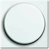 Busch-Jaeger Balance SI Steuerelement/Zentralplatte Schaltanlage - 2CKA006599A3017