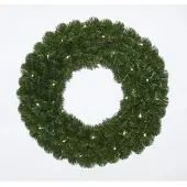 Holiday Tree Alaskan Pine Kranz 60 cm mit warmen LED Weihnachtsbaum (groen)