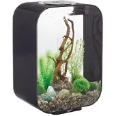BiOrb OASE LIFE 15 LED schwarz