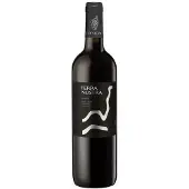 Corsican Groupe Uval Terra Nostra - Rouge 2023