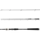 Daiwa Raubfischrute Exceler Spin