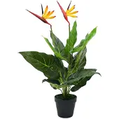 Décoshop26 - Künstliche Pflanze Strelitzia reginae Paradiesvogel 66 cm DEC021942 DEC021942