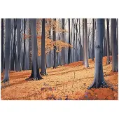 WALLARENA FOTOTAPETE Wald Bäume Natur Vlies Tapete Wohnzimmer 150x105