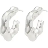 NAEMI Women Earrings in Silver | Gr.: onesize