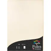 Pollen Papier