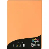 Pollen Papier
