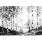 WALLARENA Fototapete Wald in Schwarzweiß | Gr.: 150 x 105 cm