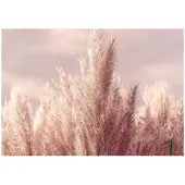 WALLARENA FOTOTAPETE Gras Boho Natur 150x105