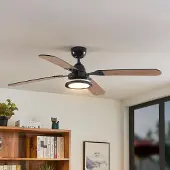 LUCANDE Tedric LED-Deckenventilator, schwarz, leise, 133 cm - , Tedric, Schwarz, für Wohnzimmer, Metall, Vintage