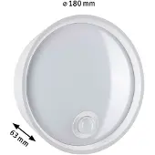 Paulmann LED Außenwandleuchte Platomo Dämmerungsgesteuerter Bewegungsmelder (IR) seewasserresistent