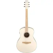 Ibanez AAM300CE-NT
