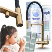 ARI 3-Wege Küchenarmatur HighFlex mit Wasserfilter-Anschluss, herausziehbare Brause, 360° schwenkbar, getrennte Wasserwege, Keramikkartusche Gold