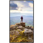 Sharp Large Format Display E439