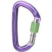Wild Country Session Screw Karabiner