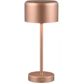 TRIO Leuchten LED-Tischleuchte Jeff 1,5W, coffee