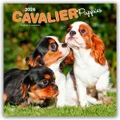 BrownTrout Cavalier King Charles Spaniel Welpen Kalender 2026